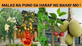 pantaboy ng malas sa bahay|PINAKMABISANG PANTABOY NG MALAS, NEGATIVE .